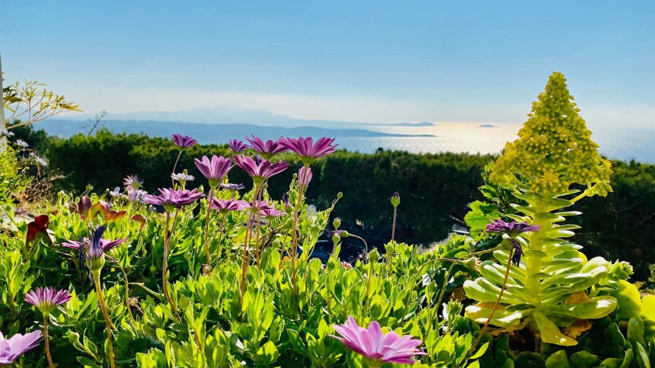 Vue Mer Panoramique Et Piscine Bandol Εξωτερικό φωτογραφία