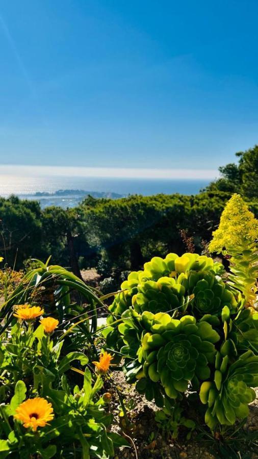 Vue Mer Panoramique Et Piscine Bandol Εξωτερικό φωτογραφία